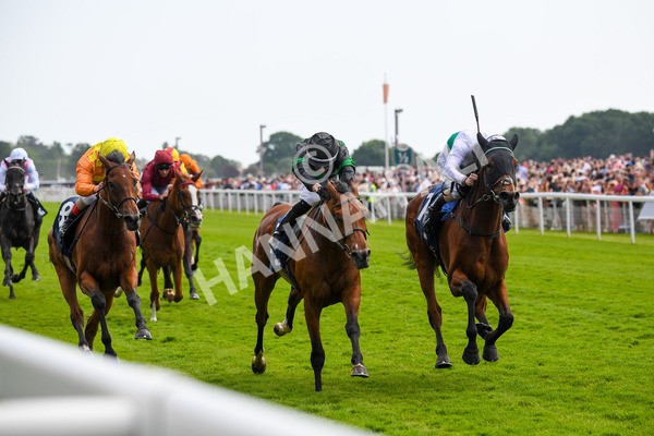 270523-Race 4-River of Stars-0605 - Race 4 3.15pm William Hill Bronte Cup Fillies' Stakes
