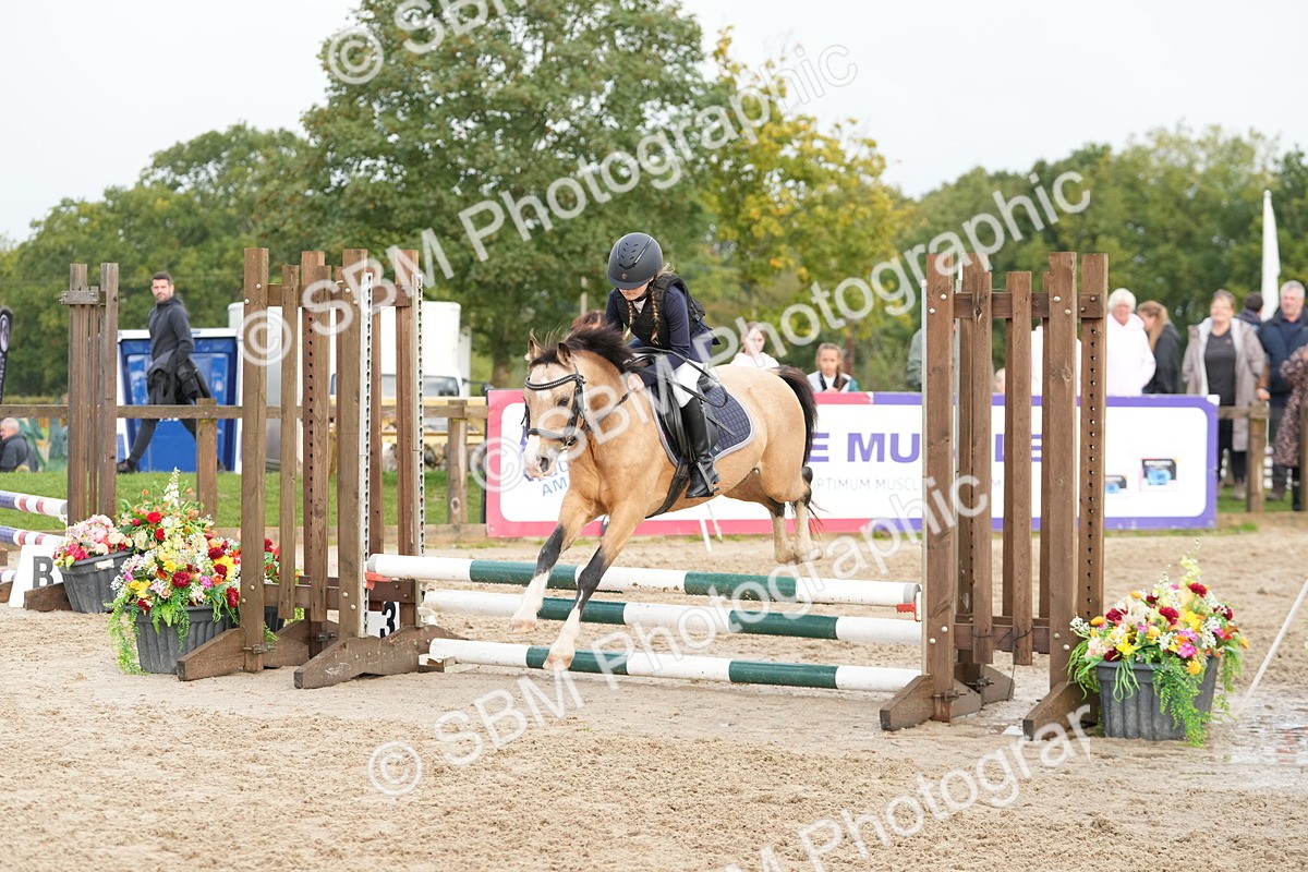 SBM_32342 - J5 - Junior Pony 50cm Championship