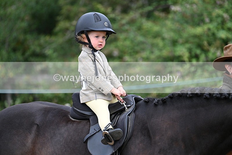 WJ7_9666 - Class 1 Lead Rein Pony