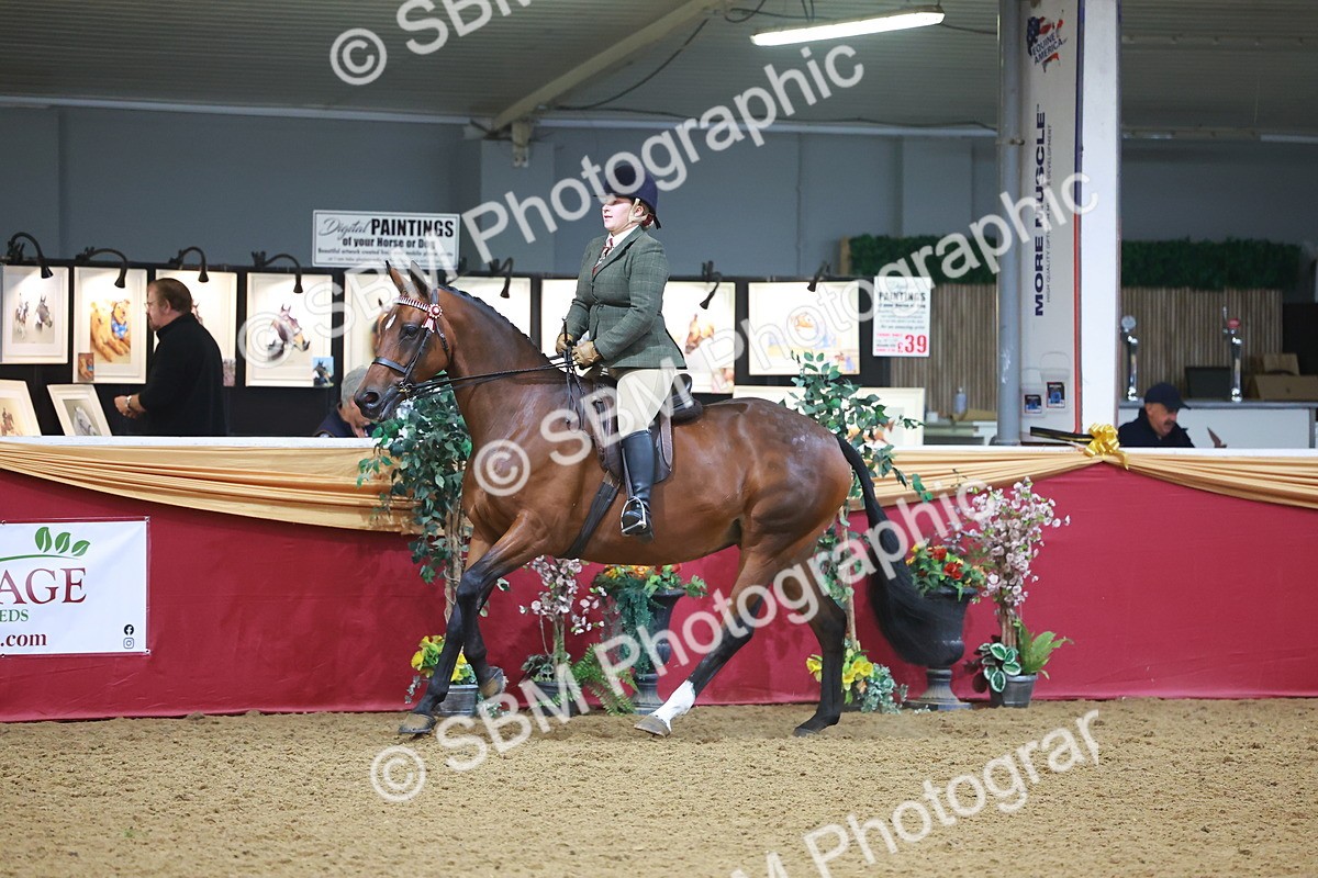 SBM_10649 - Class 103 - HOYS Veteran Qualifier - Ridden Pre Vet