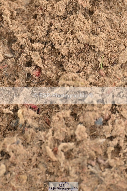 241215-141311-01195 - 1m