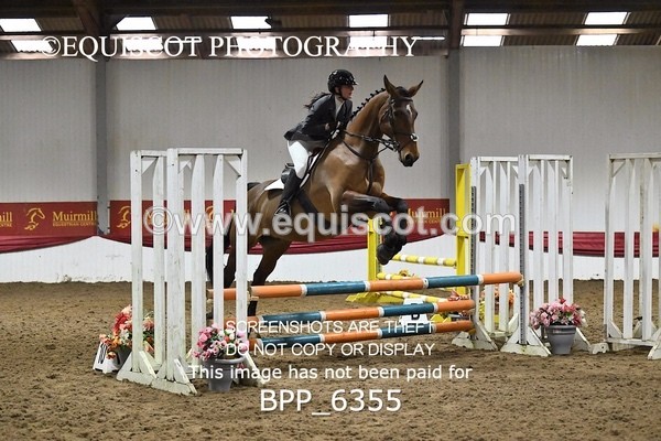 BPP_6355 - CLASS 2  Club/ Unaffiliated 80cms Open