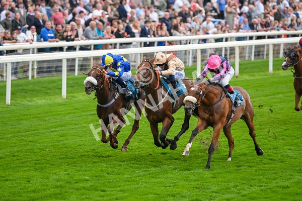 080925-Race 3-Rock N Roll Pinkie-7518 - Race 3 3.30pm Skybet Proud To Support ROR Stayers Handicap