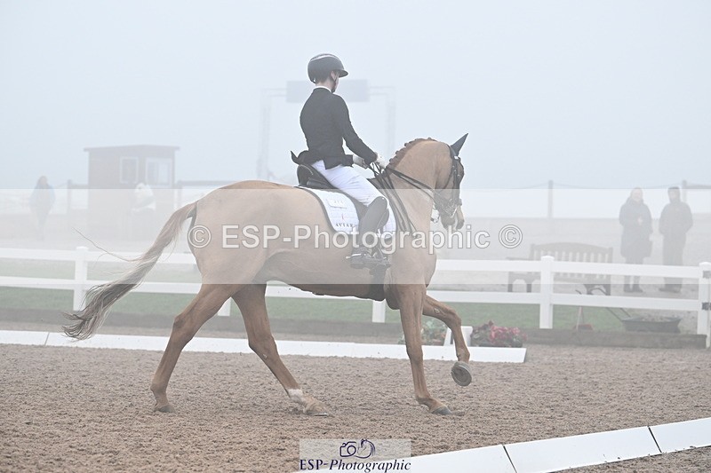 240217A-131413-02778 - 271-Tom.Carter-Rubin.Regal