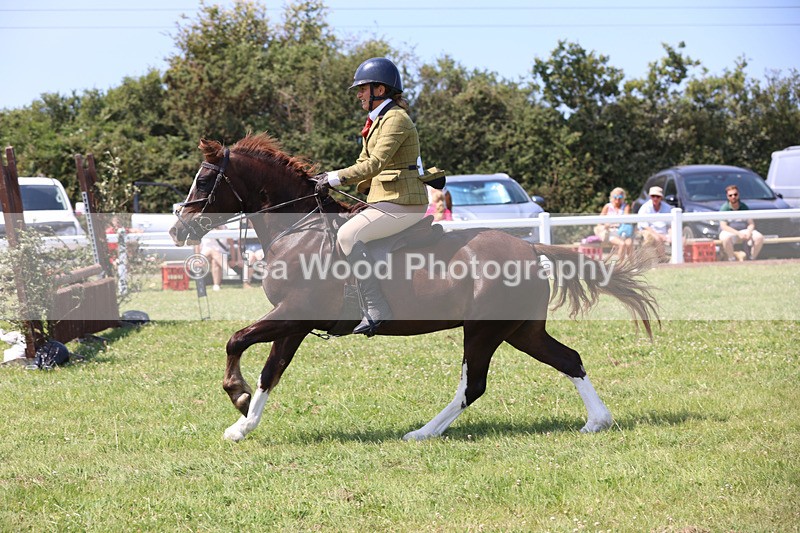 JPP_3049 - Class 22: Working Hunter 70cm