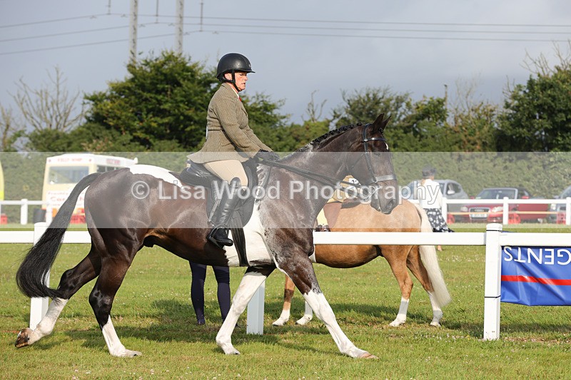 1X9A2847 - Class 25: Ridden Plaited Coloured Horse