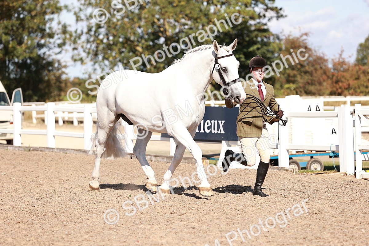 SBM_13285 - class 406 - IH Hunter