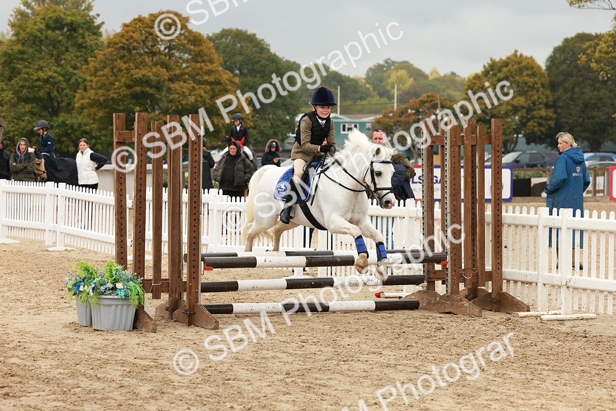 SBM_69252 - J13 - Junior Pony 60cm Championship