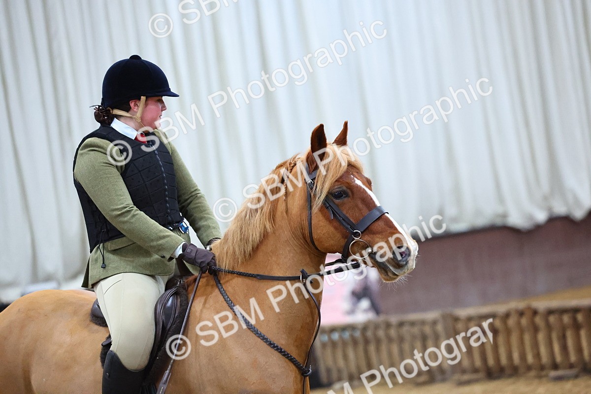 SBM_003087 - Class 35 - 60cm Training Stakes