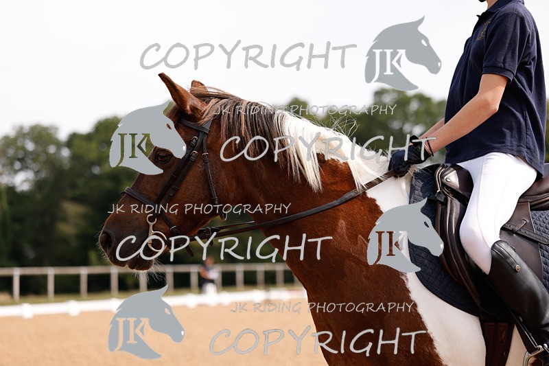 _R6A2300 - Dressage Morning