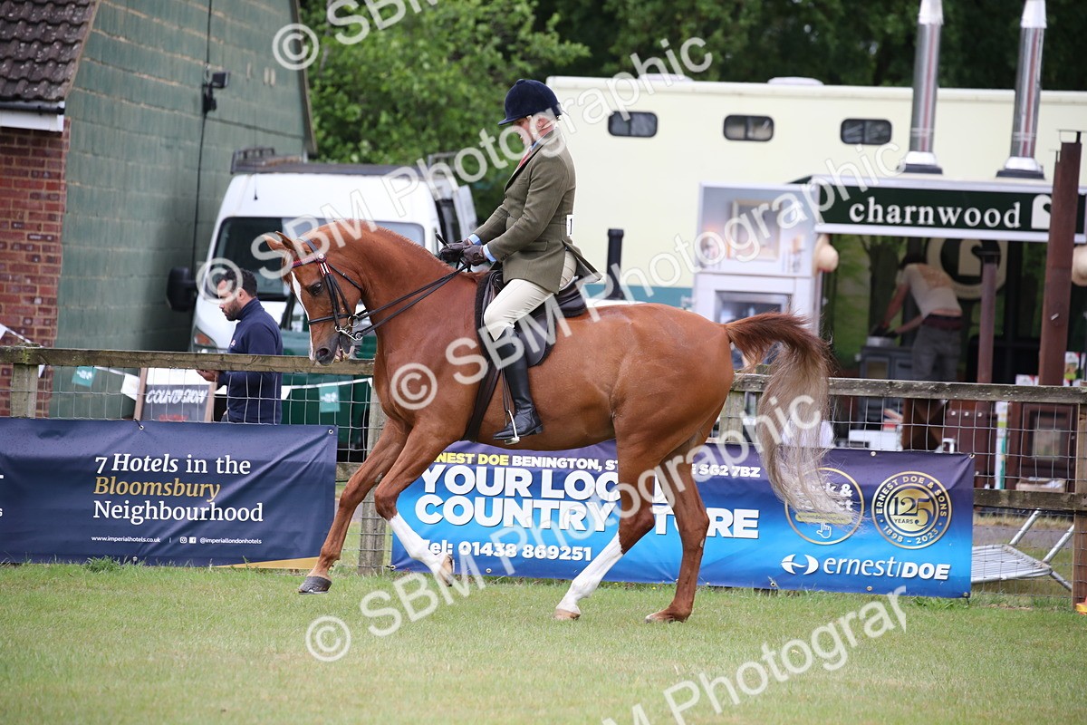 SBM_03633 - Class 21 - 22 - Ridden Arab and Part Bred/Anglo Arab