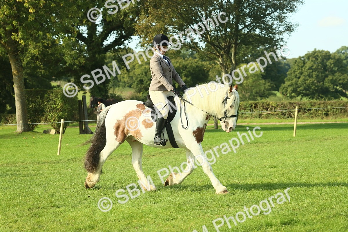 SBM_59844 - S38 - Starters Ridden Showing