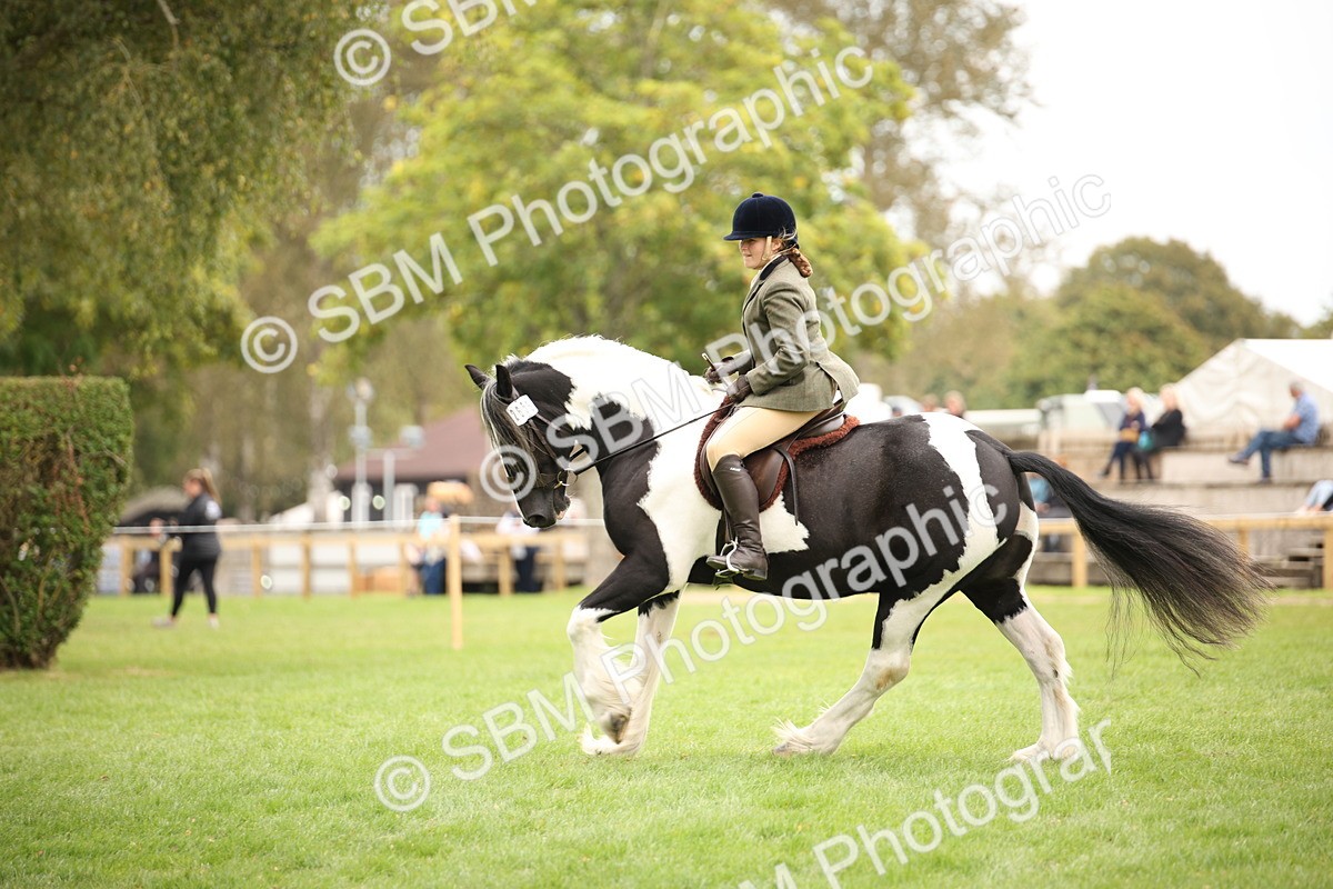 SBM_73494 - S68 - Traditional Cob Ridden