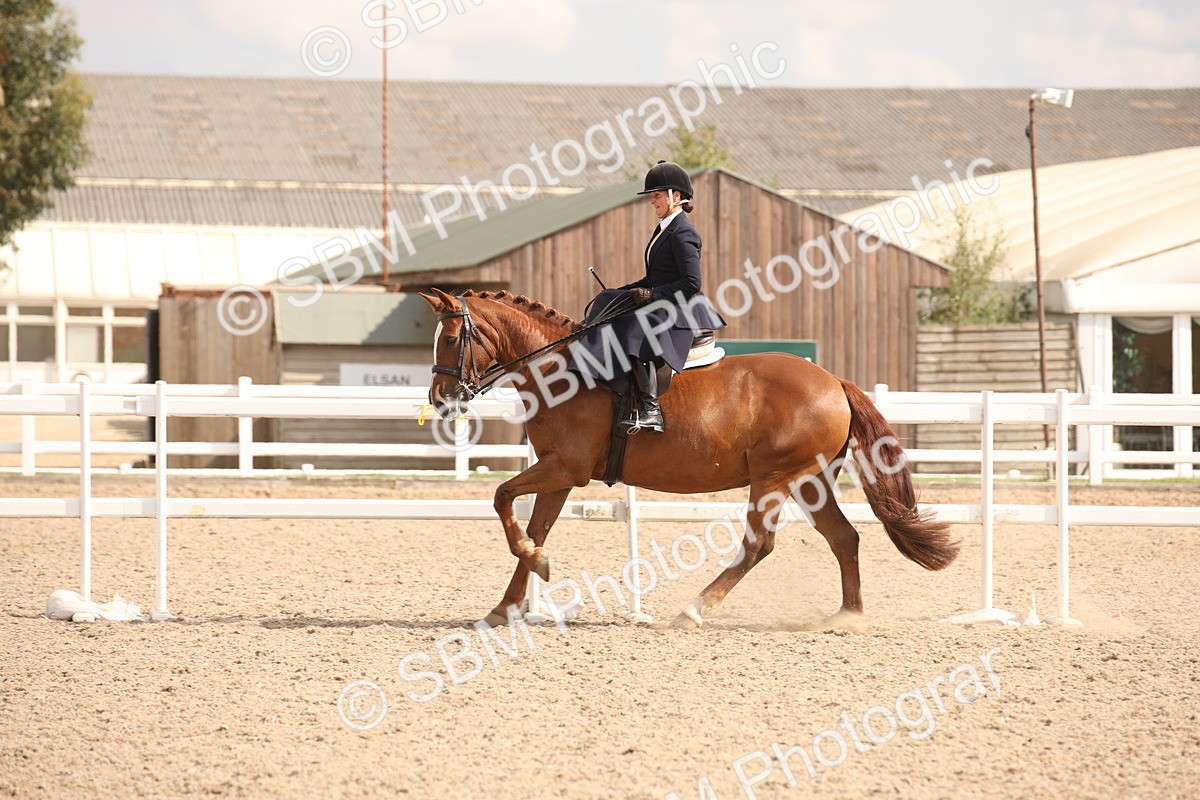 SBM_06738 - Class 24 Concours d'elegance