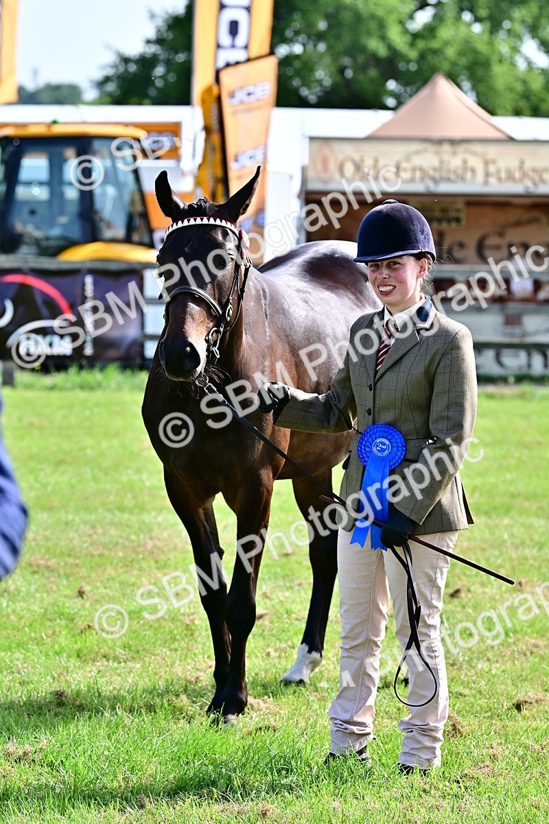 SBM_01119 - Class 46-49 - Arab and Part Bed-Anglo Arab In Hand