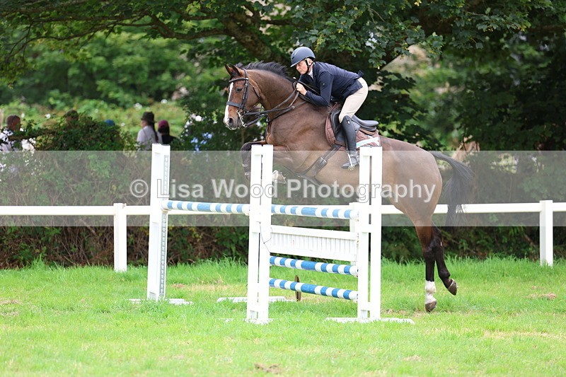 3E7A8326 - Class 8: Senior Foxhunter/1.20m open