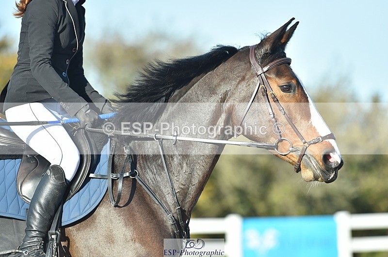 231111A-100754-01412 - Cls 10 Discovery & 1m Open