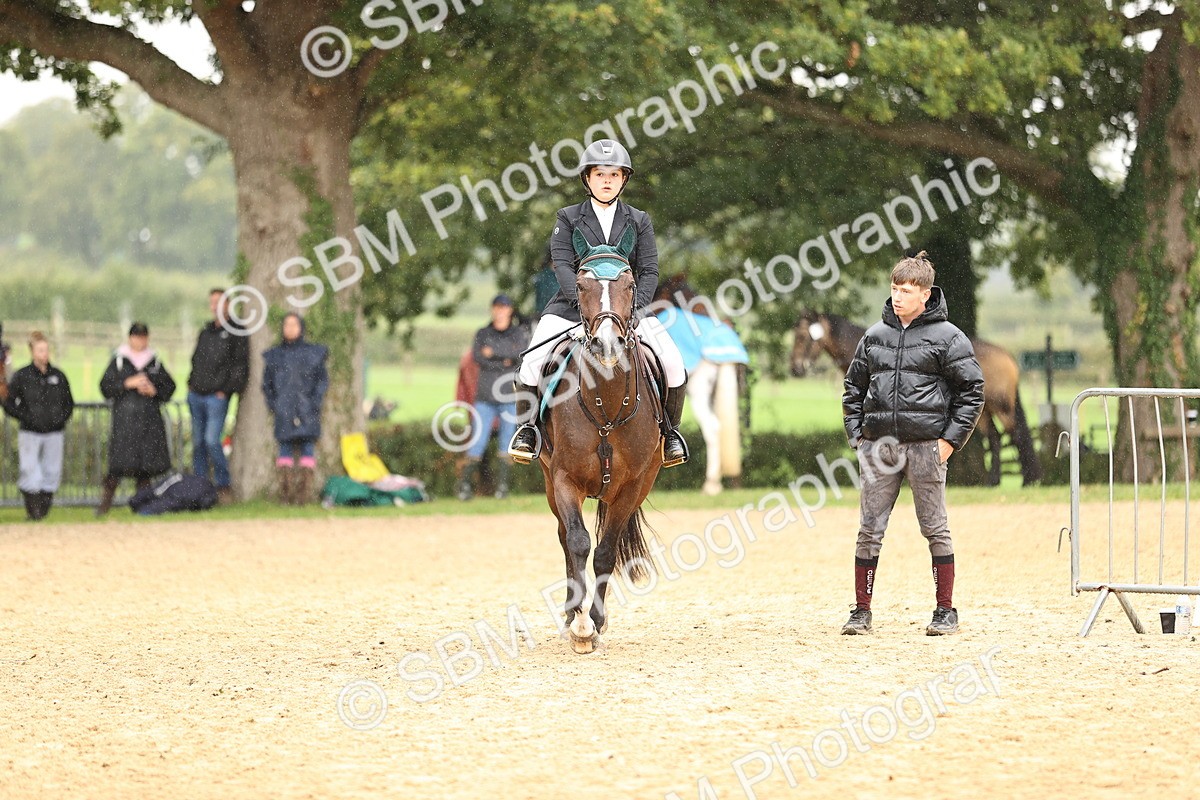 SBM_69910 - Supreme Championship 80cm 85cm