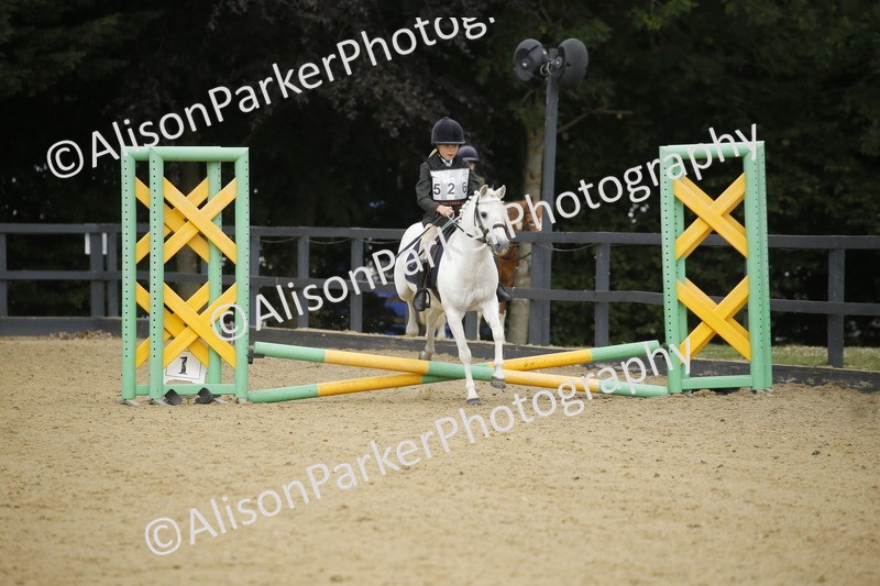 20250622-1476 - 40cm