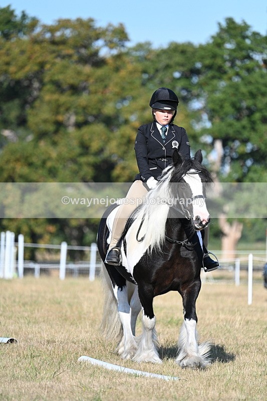 WJ7_8841 - Time 09:00 to 09:24