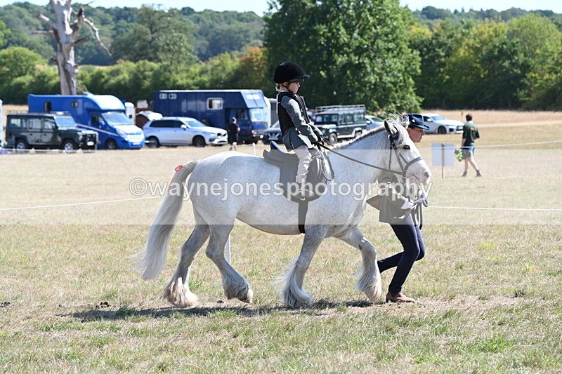 WJ6_7813 - Class 36 Lead Rein