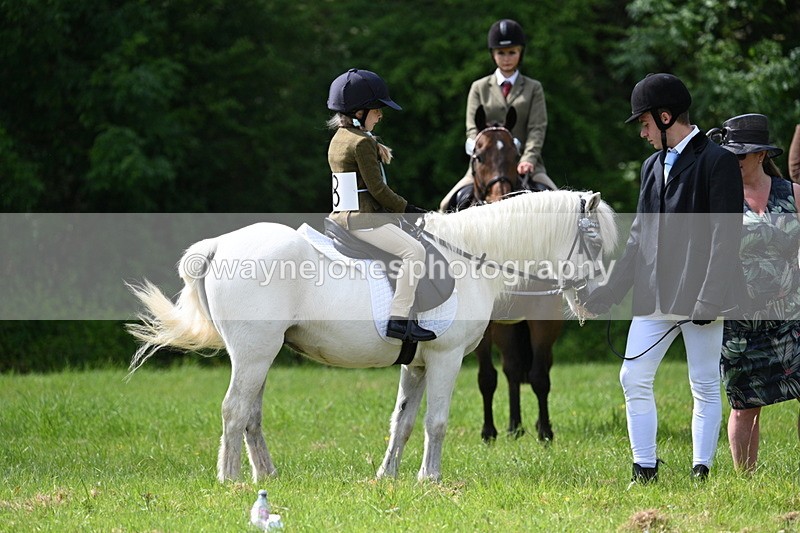 WJ7_1363 - Class 11 Condition & Turnout