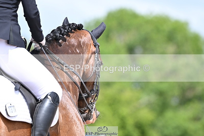 240622A-124955-10271 - Cls 30 BD Elementary 53