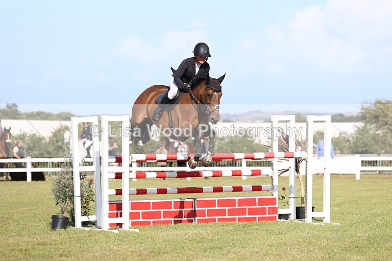 3E7A4295 - Class C: Showjumping Senior Foxhunter