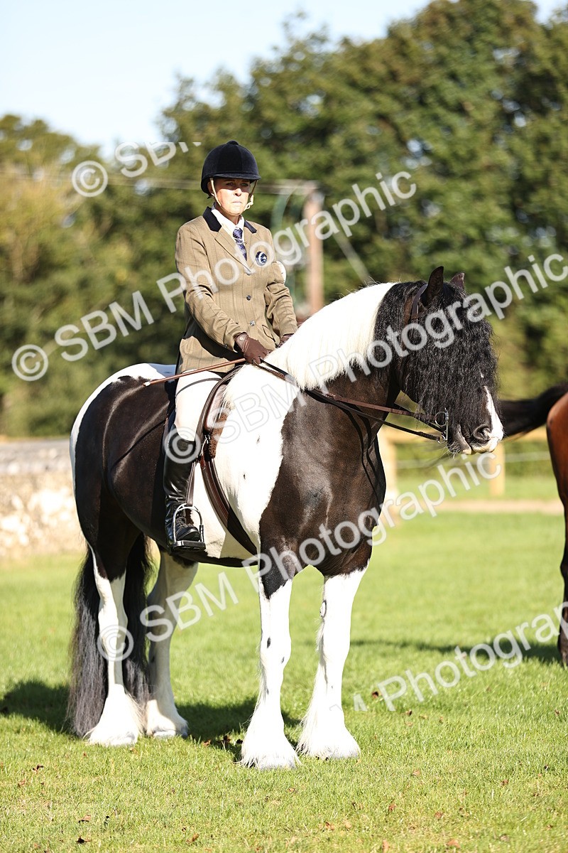 SBM_16856 - S2 - TSR Ridden Pony Showing
