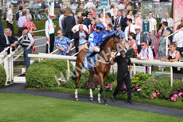 yr08072022r7-3 - Race 7 5.30pm Jigsaw Sports Branding Handicap