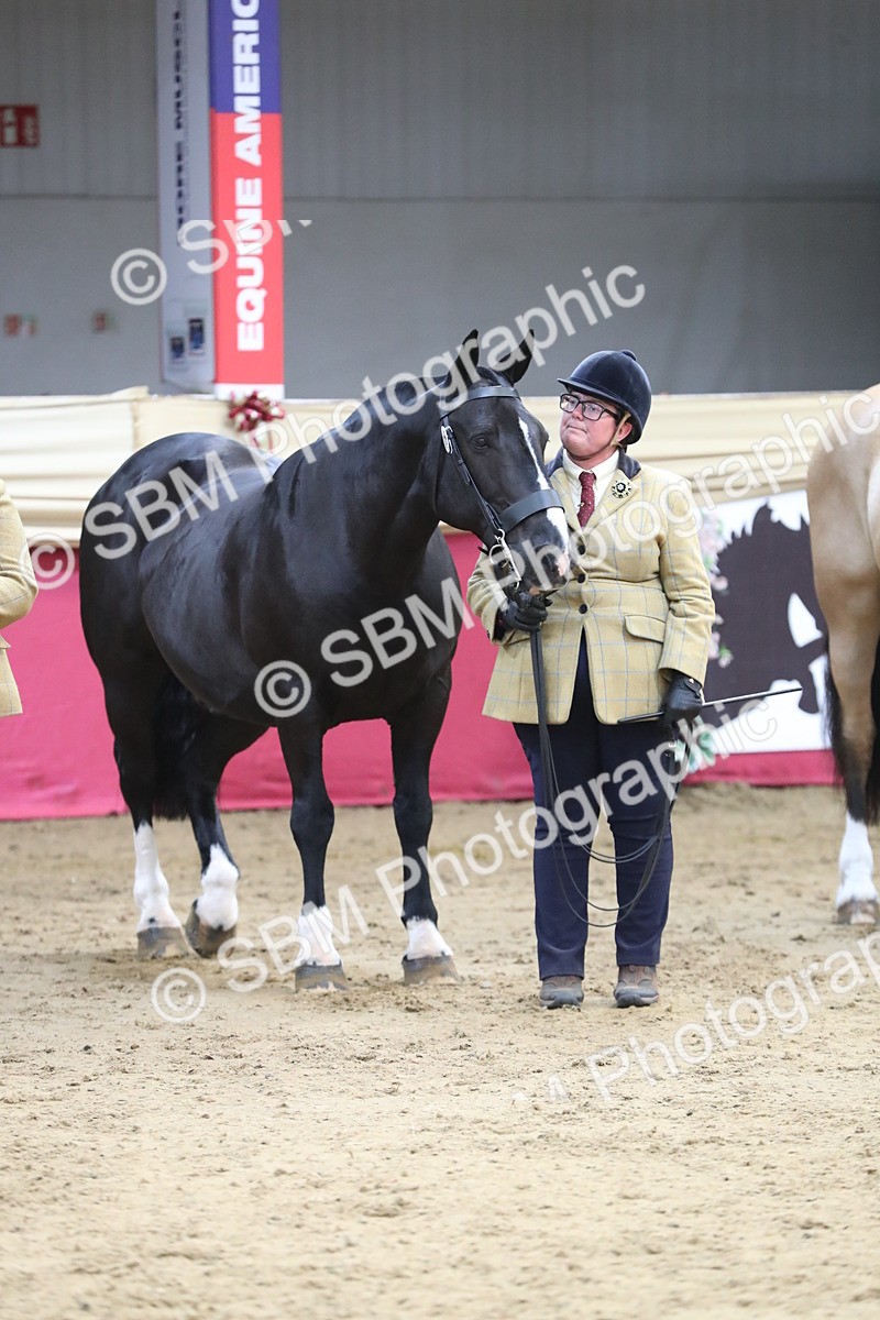 SBM_06441 - Class 9R Regional- IH Pre Vet