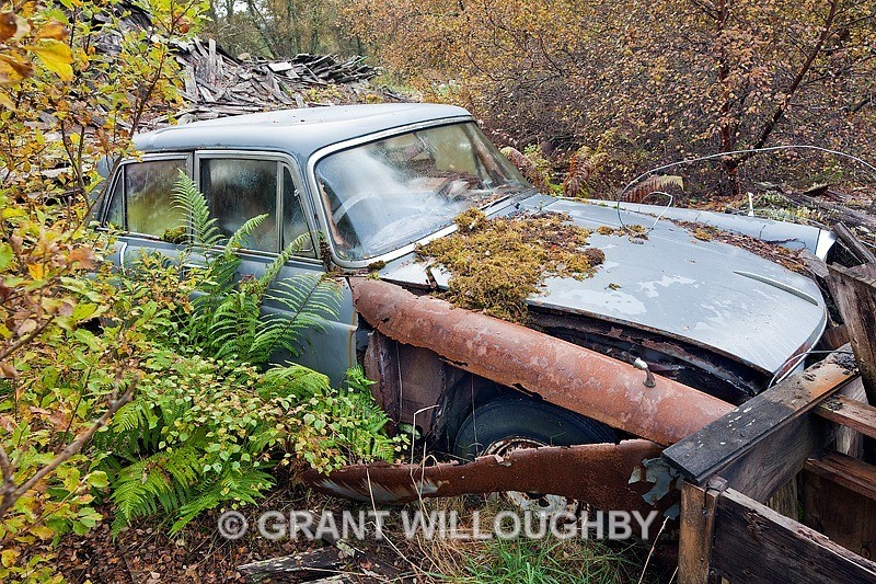  - The beauty of decay