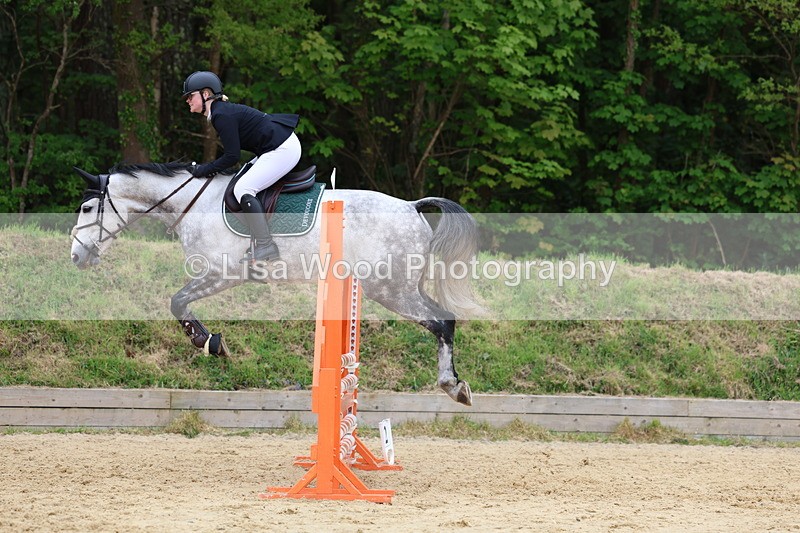 3E7A6407 - Class 4: Senior British Novice/90cm open
