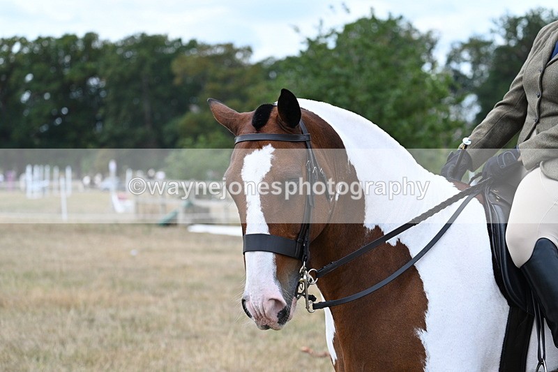WJ7_5322 - Class 12 Ridden Cob
