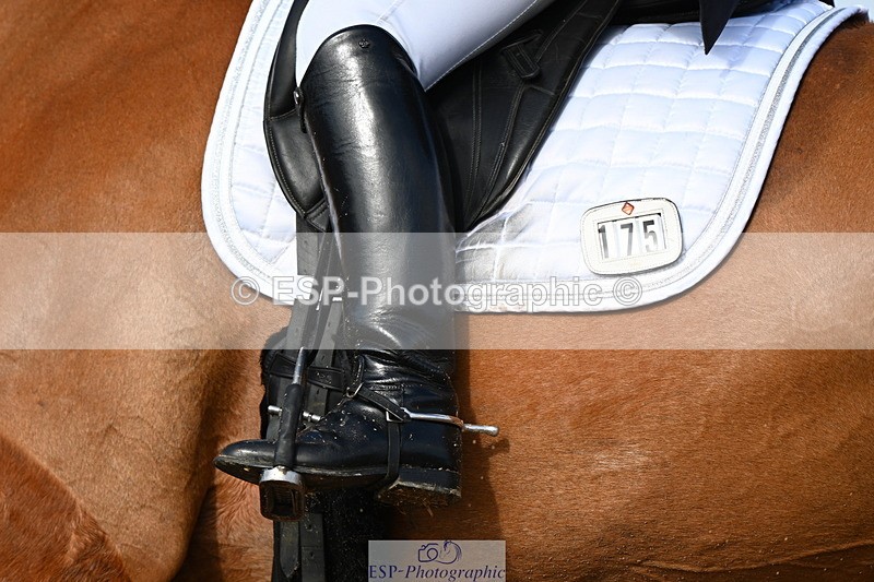 240218A-113821-06424 - 175-Jane.Morris-Silverstar.Z