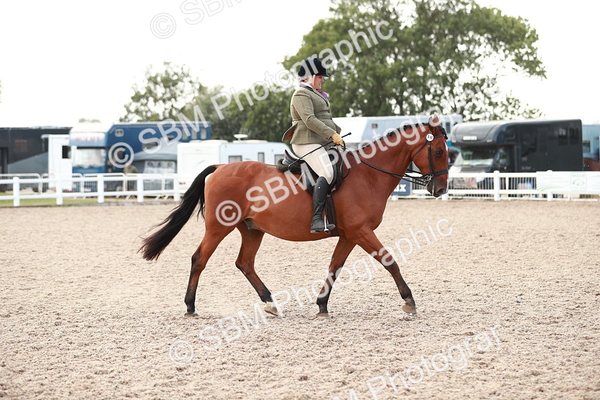 SBM_15502 - Class 213 Ridden Hunter -Large