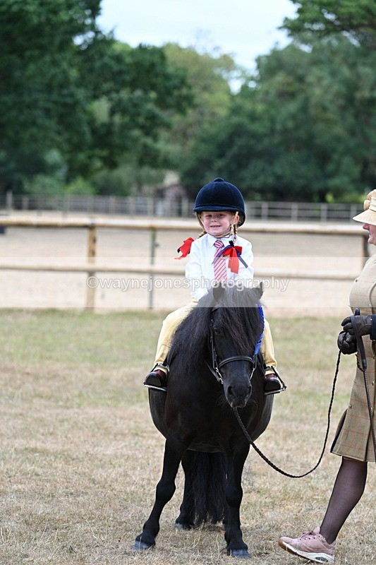 WJ7_8601 - Class 4 Prettiest Mare up to 14.2hh