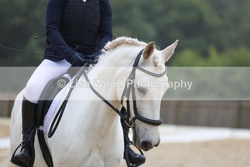 3E7A8069 - Class 1: Intro 3 2024 section A