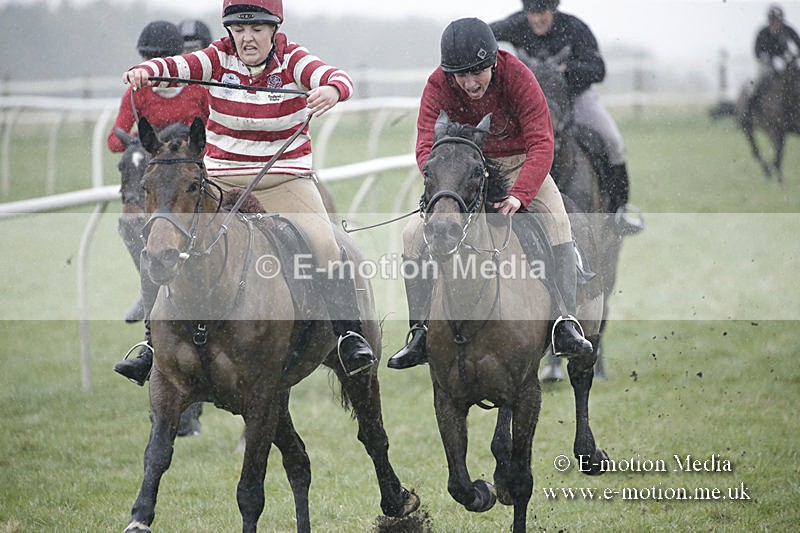 PtP 150320 0012 - New Forest Point-to-Point Larkhill 15/03/20