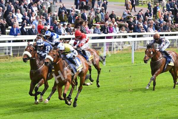 yr11052022r2-35 - Race 2 2.25pm Churchill Tyres Stakes