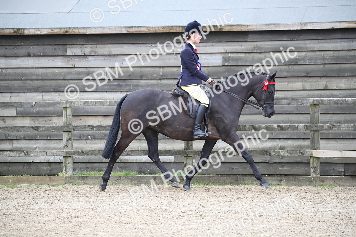 SBM_004818 - Class 5-9 - NPS In Hand-Show Hunter-Intermediate Ridden Inc Ridden Championship