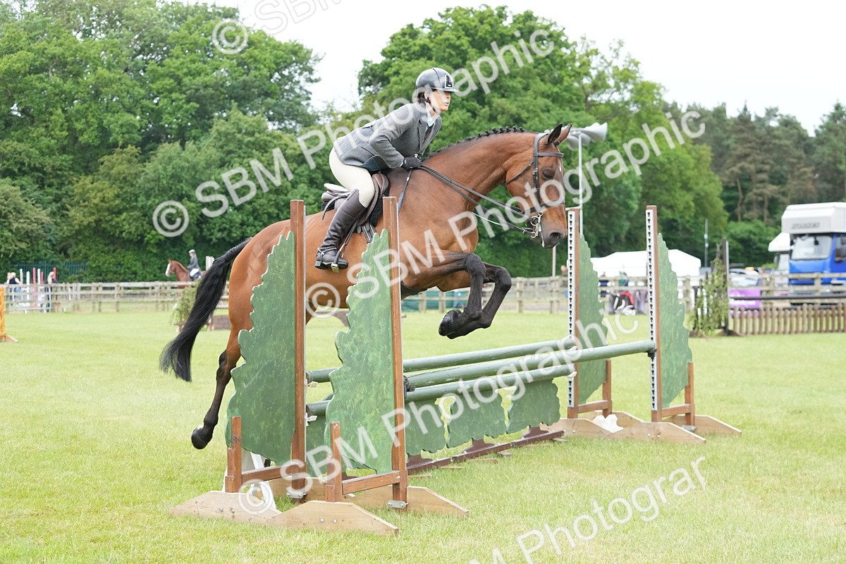 SBM_12626 - Class 97-98 - LIHS BSHA Rising Star Working Show Horse Hunter