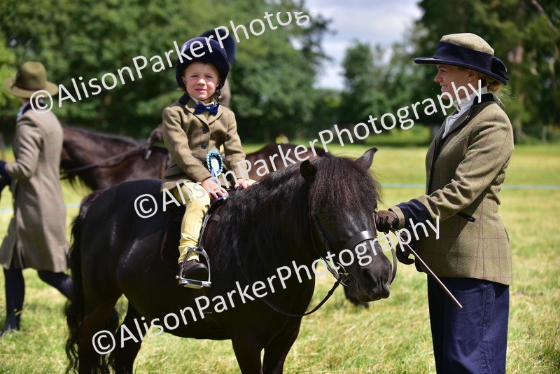 20260614-1339 - Class 11a - Lead Rein Pony (Unplaited)
