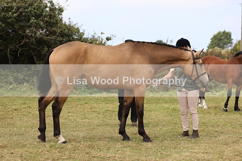 3E7A4420 - Class 15: Three Year Olds