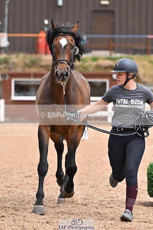 250716-145124-01454 - Trot Up 2.30 to 3.30