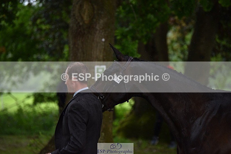 240522-151306-00174 - 316-LB_METTAPHOR-Tom_Rowland