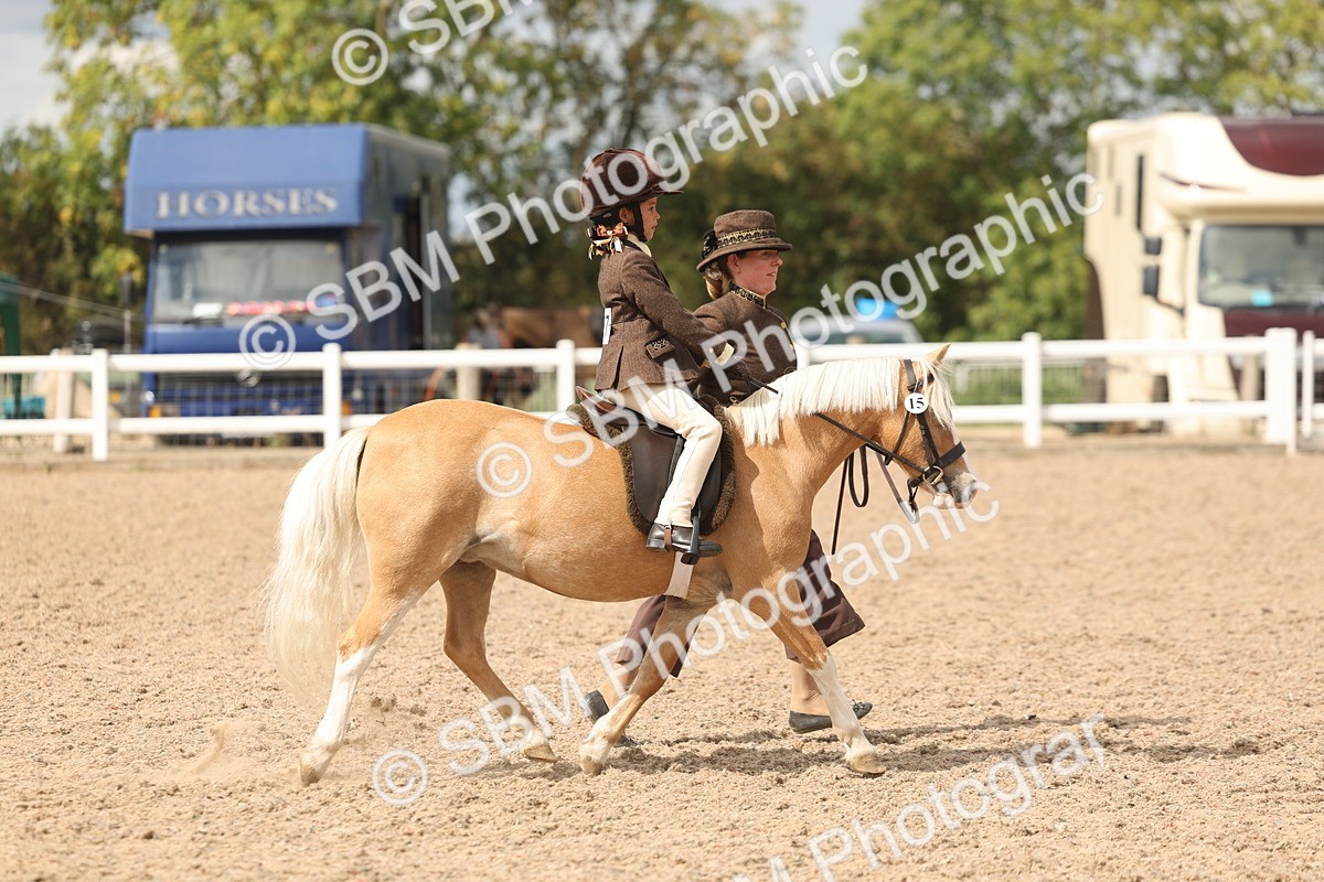 SBM_15764 - Class 309 - Lead Rein Pony