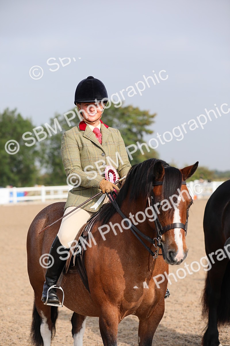 SBM_10171 - Class 302 Ridden M&M -Large Breeds