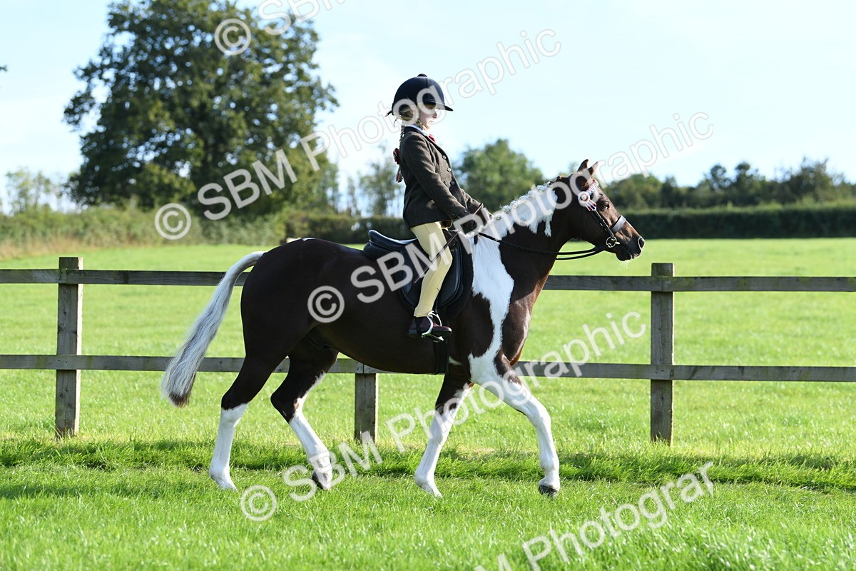 SBM_52373 - S22 - 1st Ridden Show & Show Hunter Pony