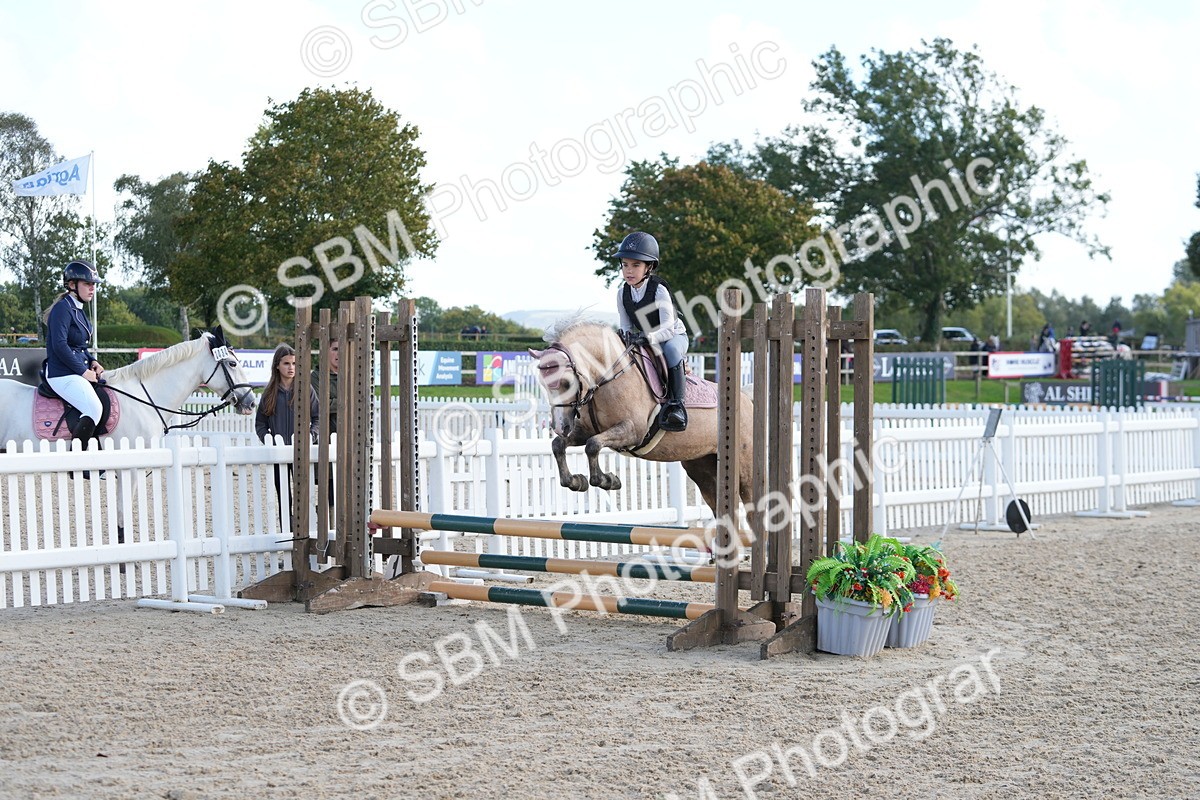 SBM_48379 - J7 - Junior Pony 60cm Championship